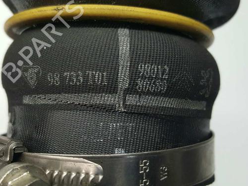Pipe PEUGEOT 208 I (CA_, CC_) 1.6 HDi | BP14533432M125