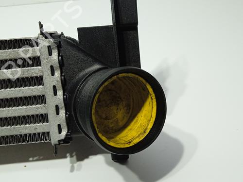 Intercooler SEAT IBIZA IV (6J5, 6P1) | BP29171105M30
