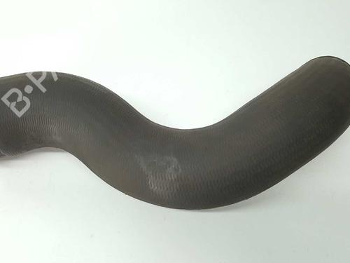 Used Pipe NISSAN PATHFINDER III (R51) 2.5 dCi (174 hp) 14533189