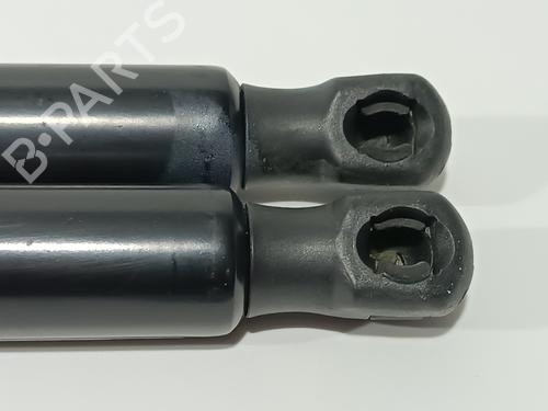Tailgate lift support LAND ROVER DISCOVERY SPORT (L550) 2.0 D 4x4 | BP25014742C138 