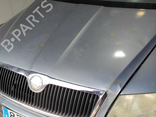 Hood SKODA OCTAVIA II (1Z3) 1.9 TDI | BP15246953C1