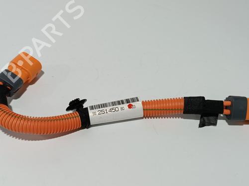 Kabel CITROËN C4 III (BA_, BB_, BC_) ë-C4 (BCZKXC, BZCKSC) (136 hp) 16052172