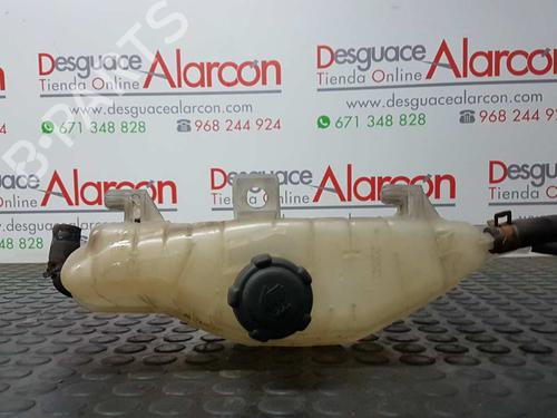 Expansion tank RENAULT CLIO III (BR0/1, CR0/1) 1.5 dCi (BR17, CR17) | BP2769242C120 