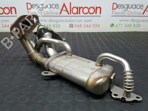 Egr RENAULT KANGOO Express (FW0/1_)  | BP14530778M69 