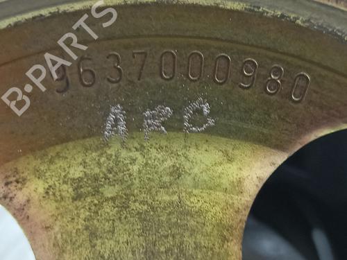 Steering pump PEUGEOT 206 Hatchback (2A/C) 1.4 HDi | BP30448436M99