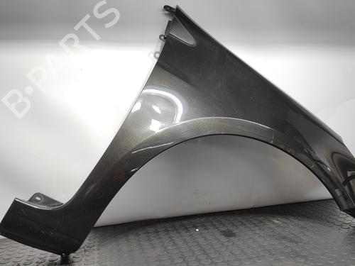 Right front fenders RENAULT CLIO III (BR0/1, CR0/1) 1.5 dCi (BR17, CR17) | BP9107796C42 