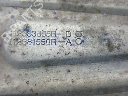 Engine mount RENAULT KANGOO Express (FW0/1_)  | BP10263206M89