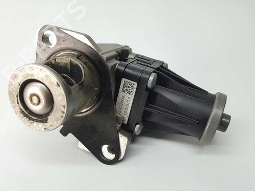 Egr RENAULT KANGOO Express (FW0/1_) | BP2902369M69