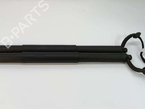 Tailgate lift support AUDI Q5 (FYB, FYG) SQ5 TFSI quattro 80A827851A