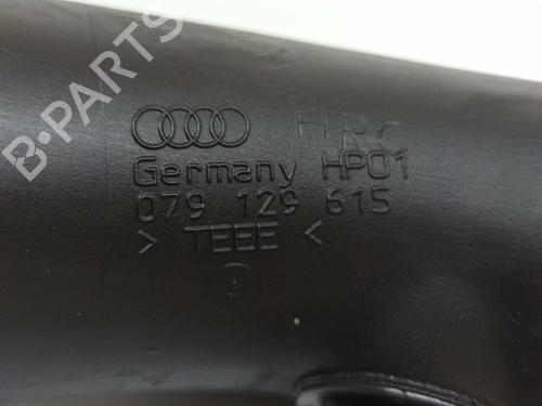 Pipe AUDI A6 C6 (4F2) 4.2 FSI quattro | BP14539452M125