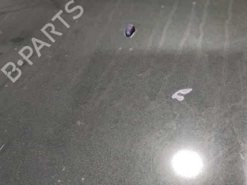 Hood LAND ROVER FREELANDER I (L314)  | BP23965200C1 