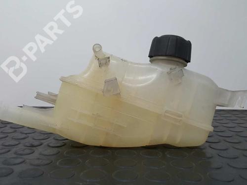 Vase D'Expansion RENAULT GRAND SCÉNIC III (JZ0/1_) 1.5 dCi (106 hp) 2759531