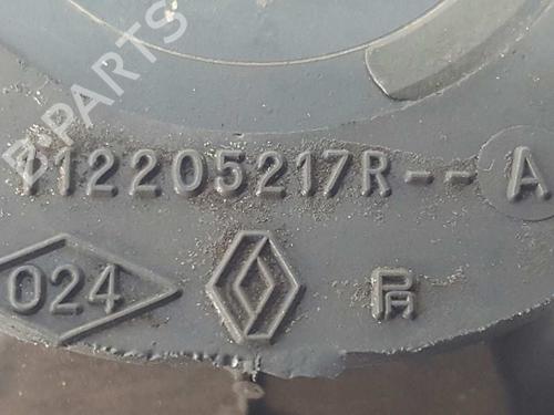 Engine mount RENAULT KANGOO Express (FW0/1_)  | BP10264023M89