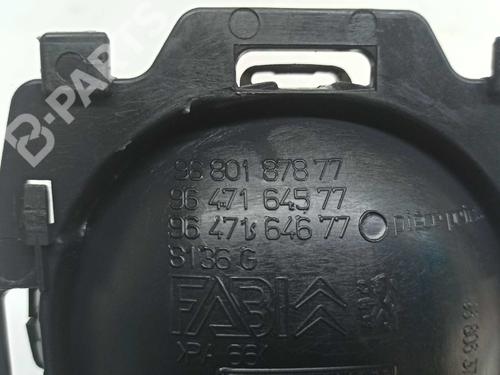 Front left interior door handle CITROËN C3 Pluriel (HB_) 1.4 HDi | BP7069620I13 