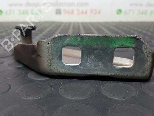 Hinge/Door check strap RENAULT KANGOO Express (FW0/1_)  | BP14530555C146 
