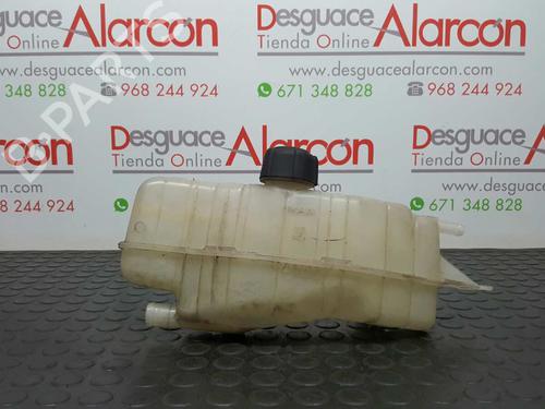 Used Expansion tank RENAULT CLIO III (BR0/1, CR0/1) 1.5 dCi (BR17, CR17) (86 hp) 2783367