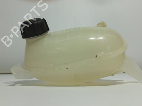 Expansion tank RENAULT EXPRESS Box Body/MPV  | BP19498800C120