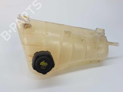 Used Expansion tank RENAULT KANGOO Express (FW0/1_) 1.5 dCi 85 (FW0K, FW0L, FW0B) (86 hp) 8119716