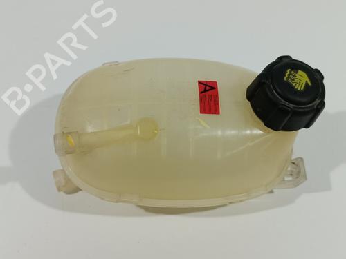 Used Expansion tank DACIA SANDERO III 1.0 TCe 90 (91 hp) 19669635