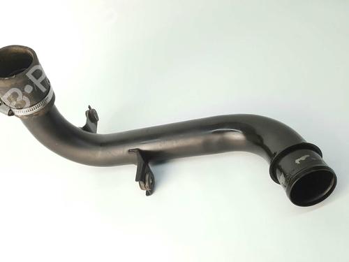 Pipe NISSAN PATHFINDER III (R51) 2.5 dCi | BP14538795M125