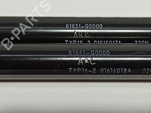 Tailgate lift support HYUNDAI i20 III (BC3, BI3) 1.0 T-GDI hybrid 48V | BP29963895C138