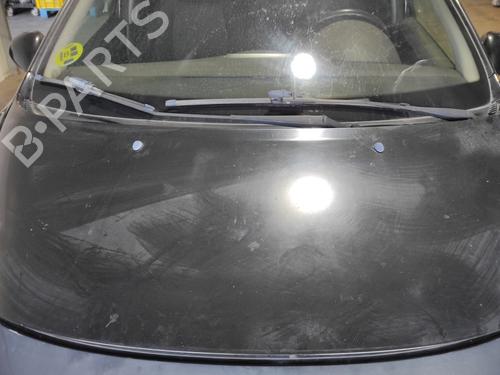 Used Hood PEUGEOT 207 (WA_, WC_) 1.6 HDi (90 hp) 23396468