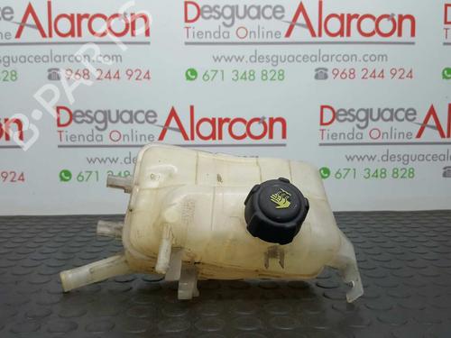 Used Expansion tank RENAULT MEGANE III Hatchback (BZ0/1_, B3_) 1.5 dCi (86 hp) 2742958