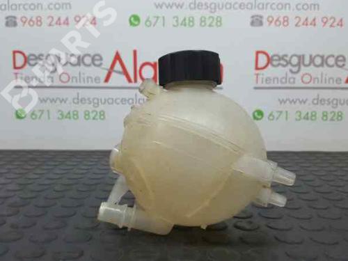Expansion tank CITROËN BERLINGO MULTISPACE (B9) 1.6 HDi 110 | BP2734149C120 
