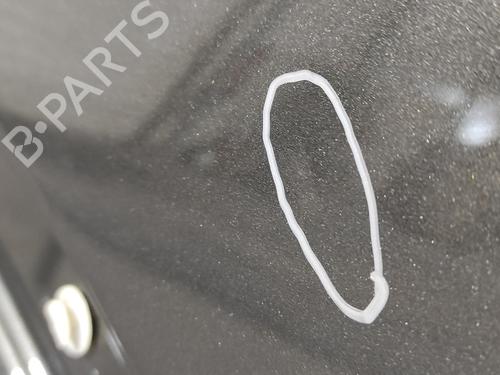 Left front fenders MINI MINI COUNTRYMAN (R60) Cooper SD | BP16661970C41 