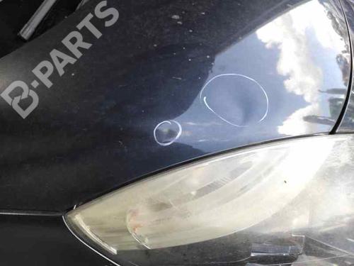 Hood RENAULT SCÉNIC III (JZ0/1_) 1.5 dCi (JZ02, JZ0R) | BP8198563C1 