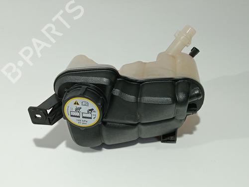 expansion-tank-land-rover-range-rover-evoque-l538-2011-2012-2013-2014-2015-2016-2017-2018-2019-36431443 main image