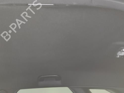 Interior roof PEUGEOT 3008 II SUV (MC_, MR_, MJ_, M4_) 1.5 BlueHDi 130 | BP17761816I12