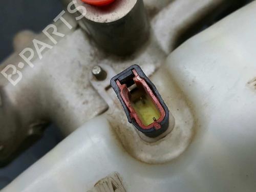 Brake master cylinder NISSAN PATHFINDER III (R51) 2.5 dCi | BP2759538M77