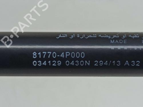 Tailgate lift support HYUNDAI i20 I (PB, PBT) 1.2 | BP14541226C138 