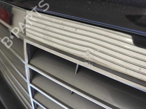 Grille MERCEDES-BENZ E-CLASS (W211) E 220 CDI (211.006) | BP10136742C40