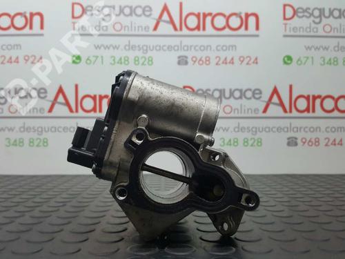 Egr RENAULT KOLEOS I (HY_) 2.0 dCi (HY0K) (150 hp) 2768029