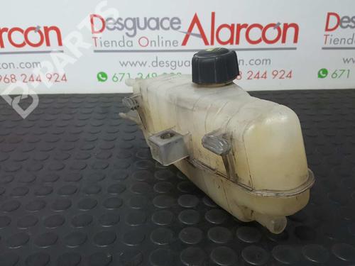 Expansion tank RENAULT CLIO III (BR0/1, CR0/1) 1.5 dCi (BR17, CR17) | BP2739399C120 
