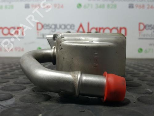 Egr SEAT IBIZA IV SC (6J1, 6P5)  | BP14528544M69 