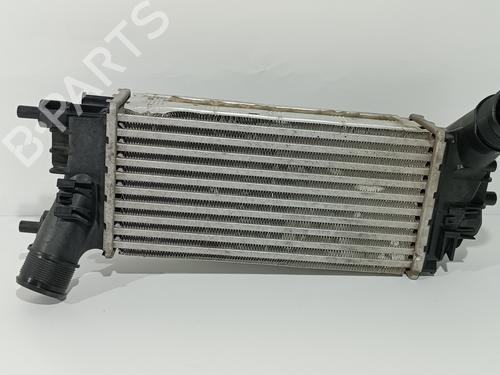 Used Intercooler FORD FIESTA VII (HJ, HF) 1.0 EcoBoost (125 hp) 27438913