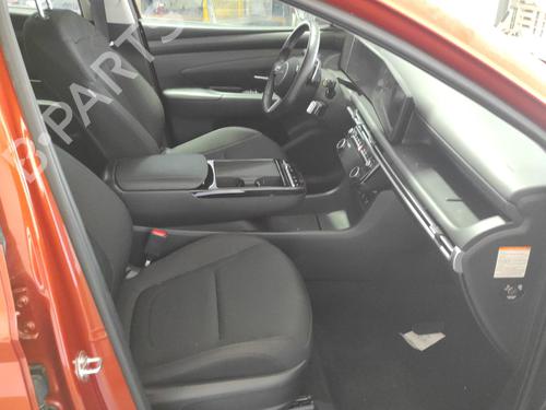 - Image 6