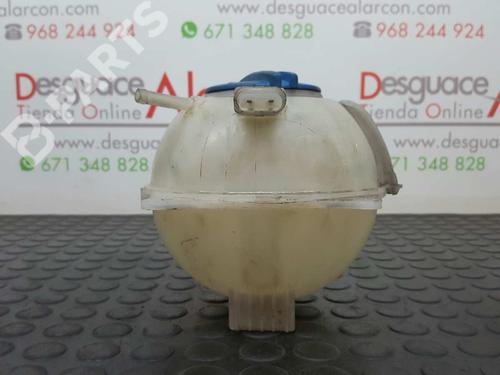 Expansion tank SEAT IBIZA IV SC (6J1, 6P5) 1.9 TDI | BP2731145C120 