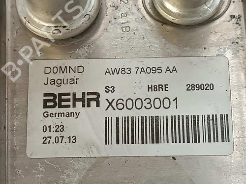 Oil radiator JAGUAR XF SPORTBRAKE (X250) 2.2 D | BP14543047M33 