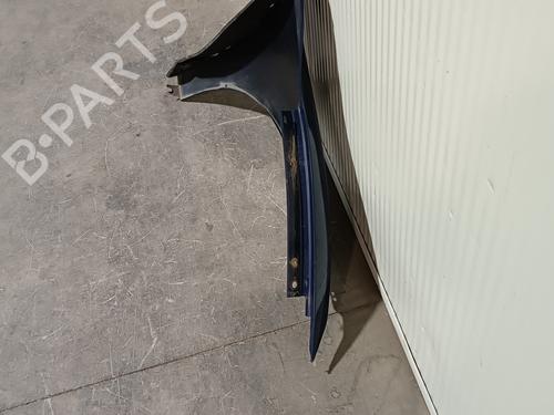 Left front fenders RENAULT MEGANE III Hatchback (BZ0/1_, B3_) 1.6 16V (BZ0H) | BP12319279C41