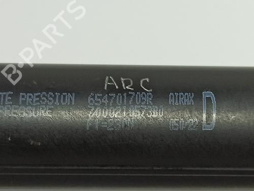 Hood lift support RENAULT EXPRESS Box Body/MPV  | BP19498798C139