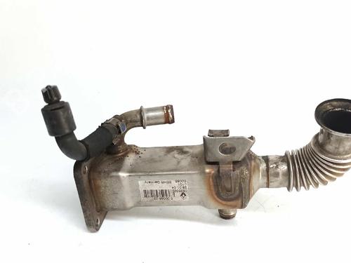 Egr RENAULT GRAND SCÉNIC II (JM0/1_) 1.9 dCi (JM0G, JM12, JM1G, JM2C) | BP14540206M69 