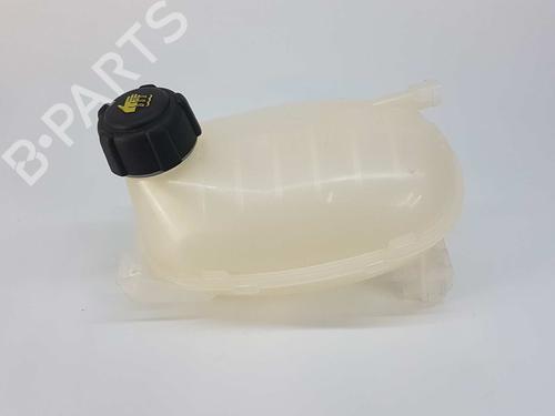Used Expansion tank RENAULT CLIO V (B7_) 1.0 TCe 90 (B7MT) (91 hp) 8269910