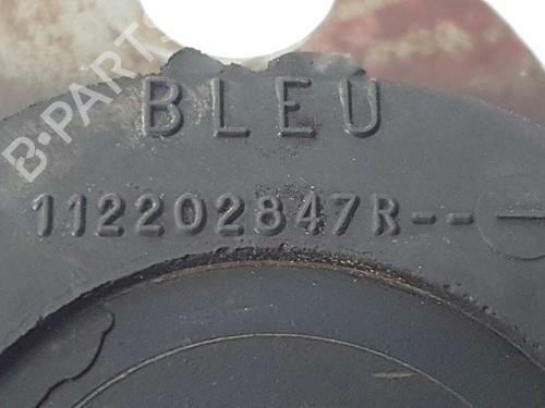 Engine mount RENAULT KANGOO Express (FW0/1_)  | BP10264023M89