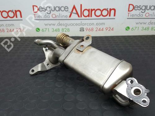 Egr RENAULT KANGOO Express (FW0/1_)  | BP14530778M69 