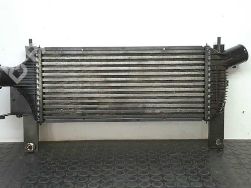 Ladeluftkühler für NISSAN PATHFINDER III (R51) 2.5 dCi (174 hp) 7436283