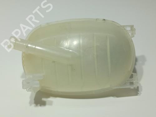 Expansion tank RENAULT CAPTUR II (HF_)  | BP23965245C120 